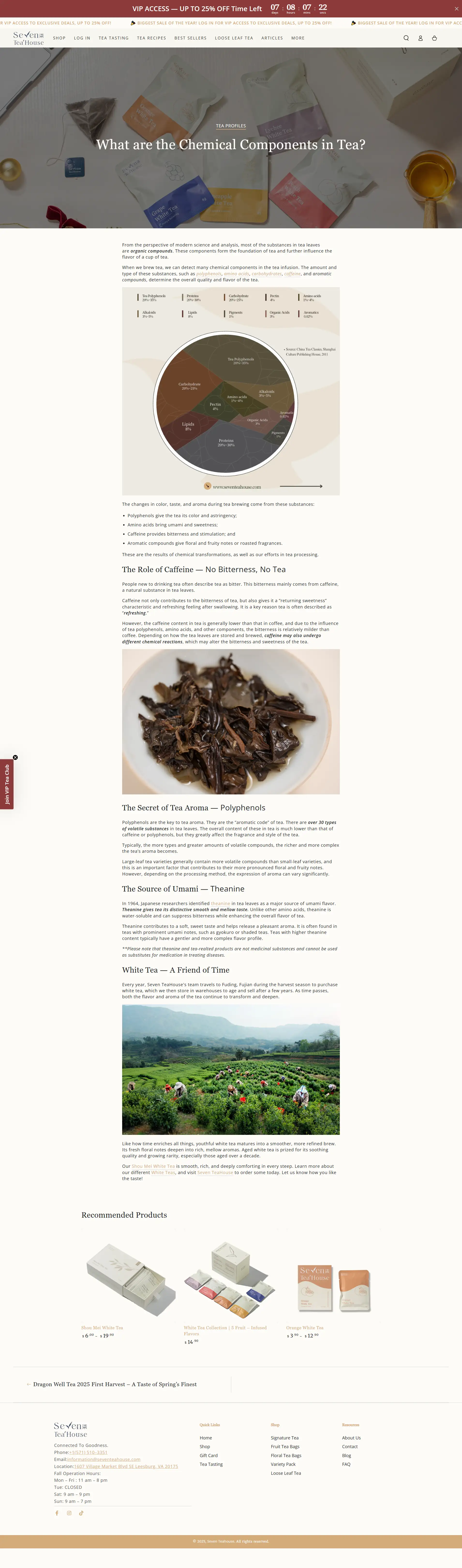 Global Tea Championship award section on Seven Teahouse portfolio design