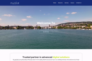 Nuolix Avaloq Consulting section with certified professionals and core banking detail