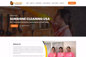 Residential cleaning services overview section on Sun Clean FL case study page