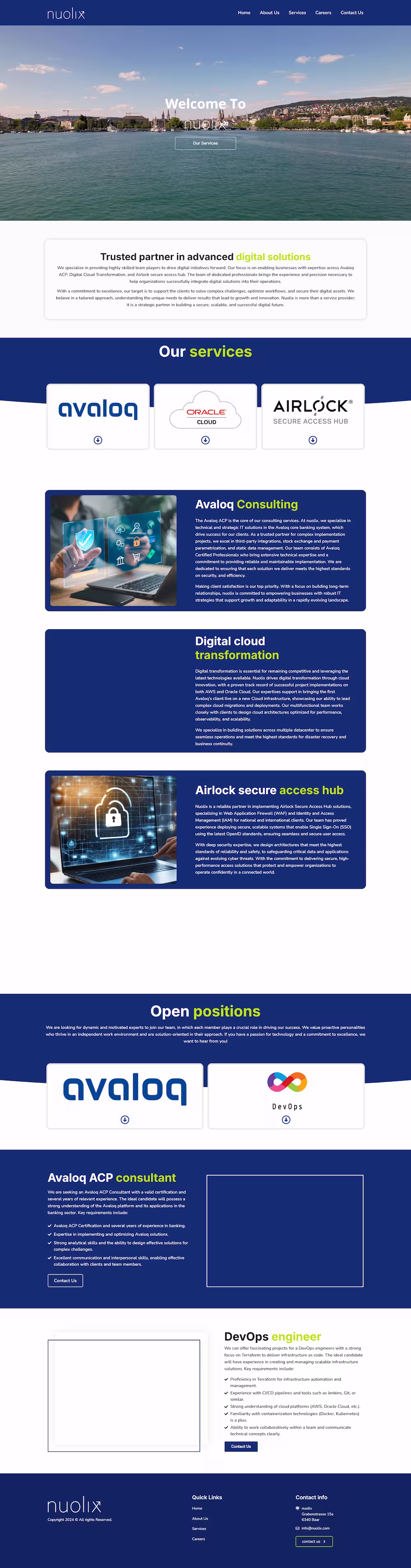 Nuolix homepage with reliable IT boutique banking consulting showcase