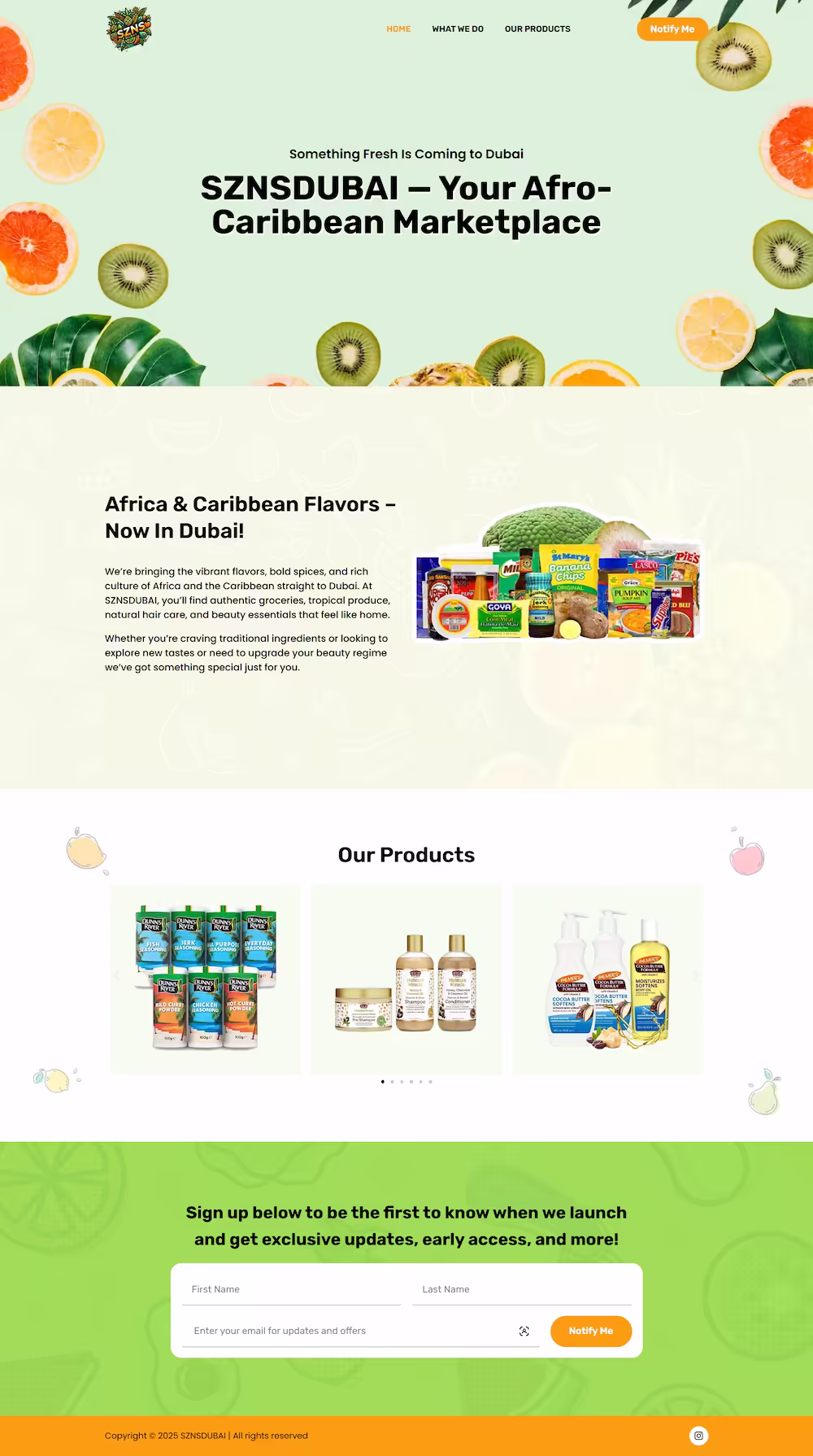 SZNS Dubai landing page - Elite IT Solutions