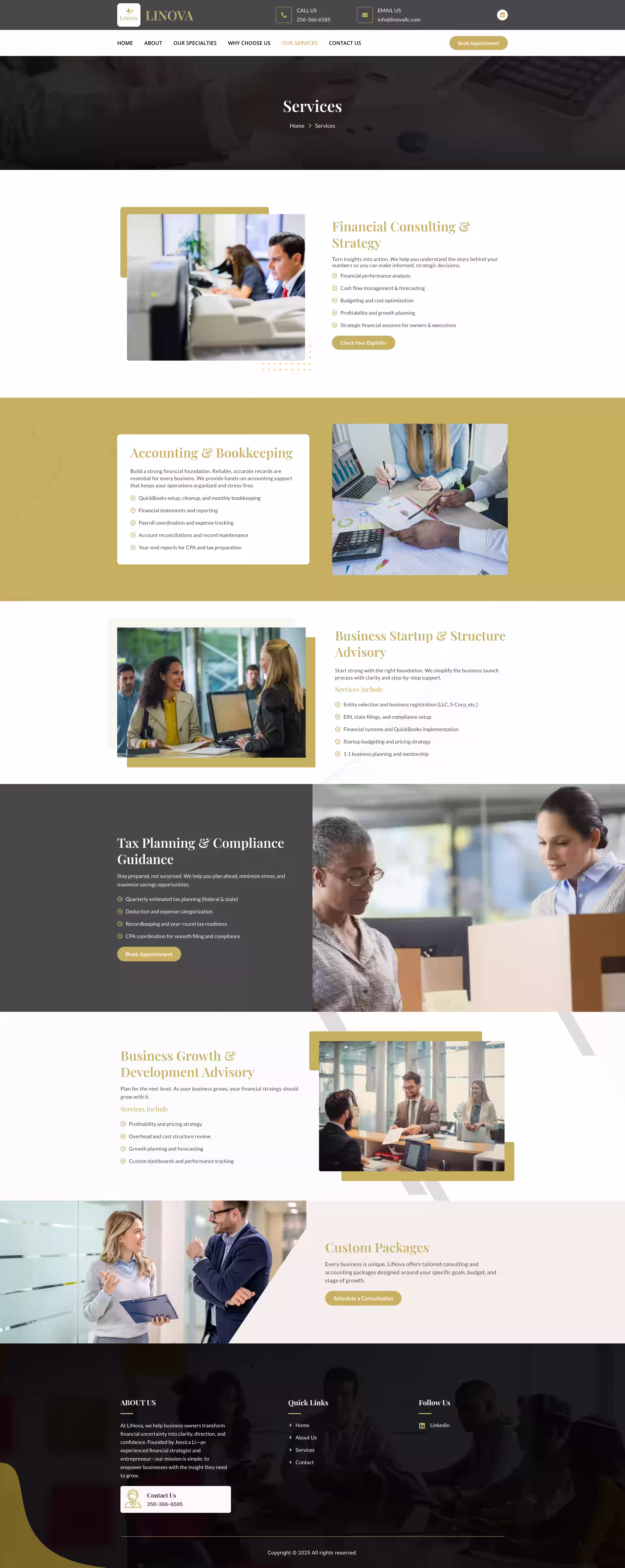 Financial clarity and insight service page on Linova WordPress consulting site