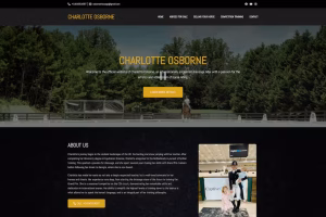 Sponsors row showing equestrian brand partners on the homepage